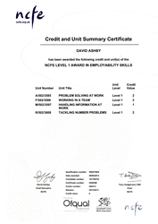 Employability Skills 2 Certificate